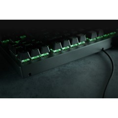 كيبورد بلاك ويدو | RAZER BLACKWIDOW TENKEYLESS